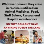 Swara Bhaskar Instagram - Do the animals they rescue belong to them??? No right, they belong to the society, to the ecology, to the mother earth. It's everyone's moral responsibility to push a good cause ahead.🙏🙏🙏 Please do your bit, please donate at least 400/- to buy the land on which they have already built a hospital and shelter. Please donate: Gpay: 9913355932 Gpay/Paytm/ PhonePe: 9724000939 UPI rrsafoundation-2@okicici rrsafoundation-2@oksbi rrsafoundation1100@okicici BANK ACCOUNT DETAILS AC Name : RRSA Foundation AC No : 99909724000939 IFSC : HDFC0001244 HDFC Bank, 1244 Branch Code Current Account OR Account Name : RRSA Foundation Account Number : 9811987555 IFSC Code : KKBK0000845 Account type: Current Account Kotak Mahindra Bank,Anand Direct Donation Links are on their Instagram Bio ( @rrsaindia ) Documents for verification also available on the Website: www.rrsaindia.org. #swarabhasker #help #support #share