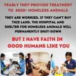 Swara Bhaskar Instagram - Do the animals they rescue belong to them??? No right, they belong to the society, to the ecology, to the mother earth. It's everyone's moral responsibility to push a good cause ahead.🙏🙏🙏 Please do your bit, please donate at least 400/- to buy the land on which they have already built a hospital and shelter. Please donate: Gpay: 9913355932 Gpay/Paytm/ PhonePe: 9724000939 UPI rrsafoundation-2@okicici rrsafoundation-2@oksbi rrsafoundation1100@okicici BANK ACCOUNT DETAILS AC Name : RRSA Foundation AC No : 99909724000939 IFSC : HDFC0001244 HDFC Bank, 1244 Branch Code Current Account OR Account Name : RRSA Foundation Account Number : 9811987555 IFSC Code : KKBK0000845 Account type: Current Account Kotak Mahindra Bank,Anand Direct Donation Links are on their Instagram Bio ( @rrsaindia ) Documents for verification also available on the Website: www.rrsaindia.org. #swarabhasker #help #support #share