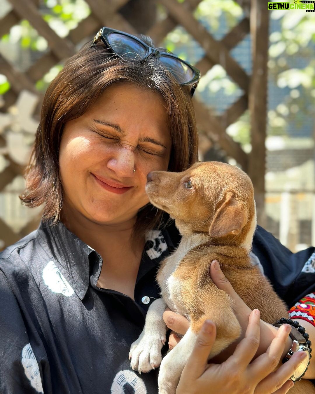 Swastika Mukherjee Instagram - Since we have matching EYE COLOUR 💚🩶 Kind soul who will adopt her GIVE HER MY NAME. Call her SWASTIKA 😘 🤗 To adopt contact @yodamumbai Their helpline nos. 🔺9819008110 🔺9891326963 🔺8899997704 🔺7710005310 YODA - Youth Organisation in Defence of Animals