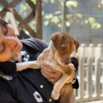 Swastika Mukherjee Instagram – Since we have matching EYE COLOUR 💚🩶 
Kind soul who will adopt her GIVE HER MY NAME. 
Call her SWASTIKA 😘 🤗

To adopt contact @yodamumbai 
Their helpline nos. 
🔺9819008110
🔺9891326963
🔺8899997704
🔺7710005310 YODA – Youth Organisation in Defence of Animals
