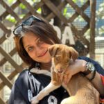 Swastika Mukherjee Instagram – Since we have matching EYE COLOUR 💚🩶 
Kind soul who will adopt her GIVE HER MY NAME. 
Call her SWASTIKA 😘 🤗

To adopt contact @yodamumbai 
Their helpline nos. 
🔺9819008110
🔺9891326963
🔺8899997704
🔺7710005310 YODA – Youth Organisation in Defence of Animals