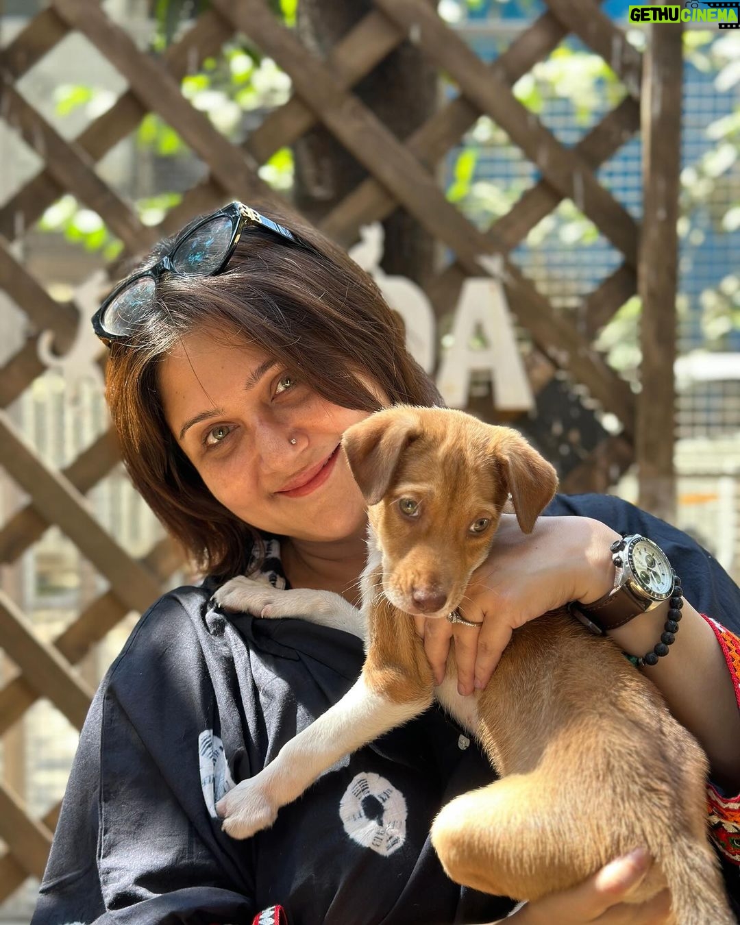 Swastika Mukherjee Instagram - Since we have matching EYE COLOUR 💚🩶 Kind soul who will adopt her GIVE HER MY NAME. Call her SWASTIKA 😘 🤗 To adopt contact @yodamumbai Their helpline nos. 🔺9819008110 🔺9891326963 🔺8899997704 🔺7710005310 YODA - Youth Organisation in Defence of Animals