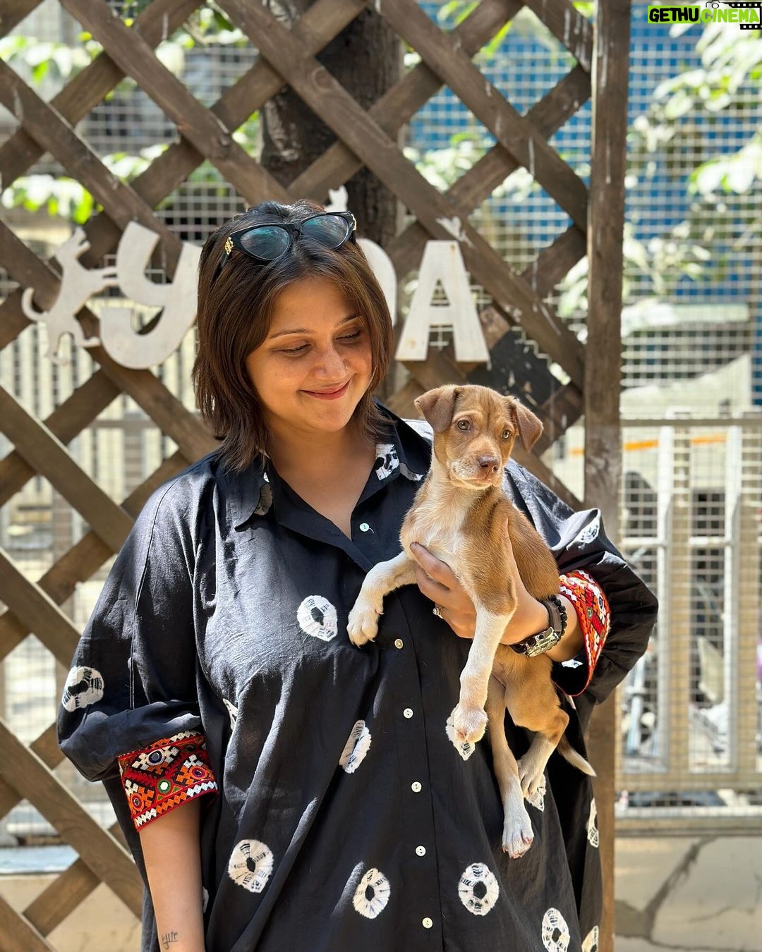Swastika Mukherjee Instagram - Since we have matching EYE COLOUR 💚🩶 Kind soul who will adopt her GIVE HER MY NAME. Call her SWASTIKA 😘 🤗 To adopt contact @yodamumbai Their helpline nos. 🔺9819008110 🔺9891326963 🔺8899997704 🔺7710005310 YODA - Youth Organisation in Defence of Animals