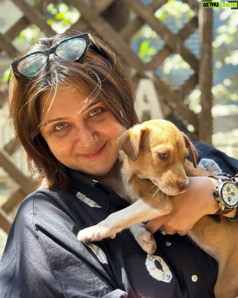 Swastika Mukherjee Instagram - Since we have matching EYE COLOUR 💚🩶 Kind soul who will adopt her GIVE HER MY NAME. Call her SWASTIKA 😘 🤗 To adopt contact @yodamumbai Their helpline nos. 🔺9819008110 🔺9891326963 🔺8899997704 🔺7710005310 YODA - Youth Organisation in Defence of Animals