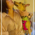 Swastika Mukherjee Instagram - এই শহরের ভালোবাসার মান-হুঁশের গল্প । ❤️🐕 @dreams_on_sale @pramodfilms @tathagata_official_ @soumyamukhherjee @vikramchatterje @anganaroyy @ambarish_bhattacharya @sreelekhamitraofficial @debashisroy1994 @shahir_raj @deboprasadhaldar @loka_loknath @deuttaran @avik_maity @ranajoybhattacharjee @ritam_sane @anindit_roy @adeepsinghmanki @space_junk23 #RajatDolui #RajeshKannan #Mohanda #Poulami @mitaapal @sudipanchakraborty @lopon.magical @sengupta.joyeeta @ovinobo_ghosh @prateekchakravorty @satadeep_saha @cinemasssr
