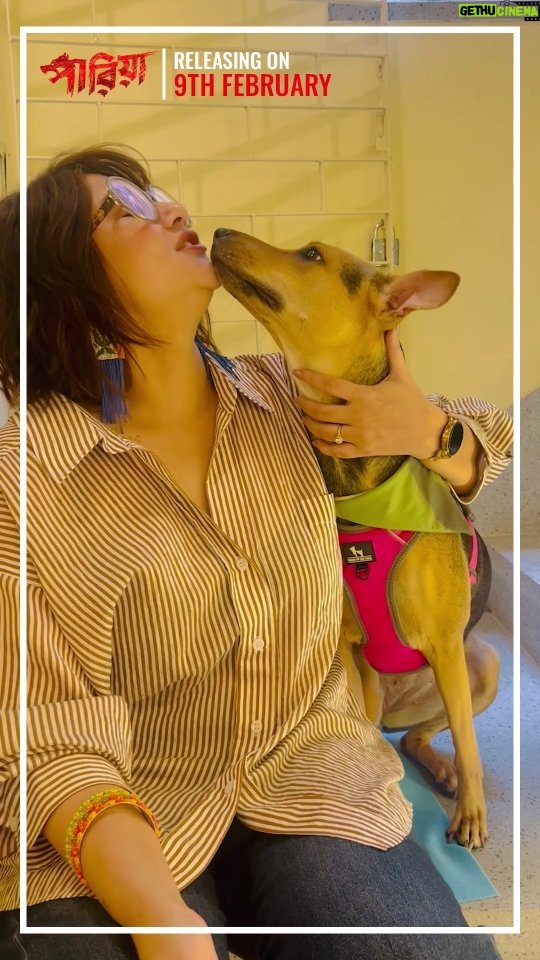 Swastika Mukherjee Instagram - এই শহরের ভালোবাসার মান-হুঁশের গল্প । ❤️🐕 @dreams_on_sale @pramodfilms @tathagata_official_ @soumyamukhherjee @vikramchatterje @anganaroyy @ambarish_bhattacharya @sreelekhamitraofficial @debashisroy1994 @shahir_raj @deboprasadhaldar @loka_loknath @deuttaran @avik_maity @ranajoybhattacharjee @ritam_sane @anindit_roy @adeepsinghmanki @space_junk23 #RajatDolui #RajeshKannan #Mohanda #Poulami @mitaapal @sudipanchakraborty @lopon.magical @sengupta.joyeeta @ovinobo_ghosh @prateekchakravorty @satadeep_saha @cinemasssr