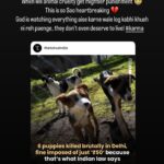Swastika Mukherjee Instagram - #nomore50 #stricterlawsagainstanimalcruelty Thanks @thetatvaindia for posting and taking up this concerning topic 🐾🙏🏼 India