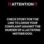 Swastika Mukherjee Instagram - Attention!