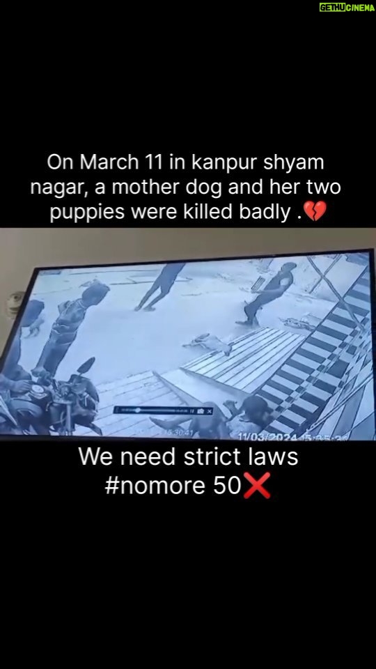 Swastika Mukherjee Instagram - #Nomore50 β On March 11 in Kanpur's Shyam Nagar, a mother dog and her two puppies were killed badly ππ . .@kanpurdehatpolice . . . . . . . . . . . . #stopanimalabuse #crueltyfree #explorepage #puppy #streetdogs