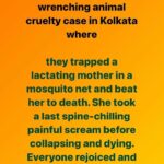Swastika Mukherjee Instagram - @pfa.official @manekagandhibjp please please help punish the culprits. Location: Dhulagarh Names of offenders: Ujjwal Naskar, (son of Madhusudan Naskar) and his team Police station: Sankrail Thana Plz send an email to - support-awbi@gov.in And put them in cc CC- dm-how-wb@nic.in dibhowrahrural@gmail.com croomhcp@gmail.com dysphqhr@gmail.com dcrbrural@gmail.com mahuamoitraoffice@gmail.com cm-wb@nic.in wbgovt@wb.gov.in Posted @withregram • @sanjanabarua IT IS IMPORTANT TO MAIL. Please find the mail template, video proof and FIR in bio. In case of doubt, inbox me. The more emails, the stronger the pressure. Which means justice. They laughed and rejoiced once she died! And there is no update on her newborn pups 🚨 No mother should have to go through this for defending her children! #animalcruelty #animalkilling #murder #animaltorture #animalmurder #lactatingmom #motherdog #newmom #puppiesofinstagram #dogsofinstagram #dogsofindia #indies_gram #indiedogs #mothers #howrah #westbengal