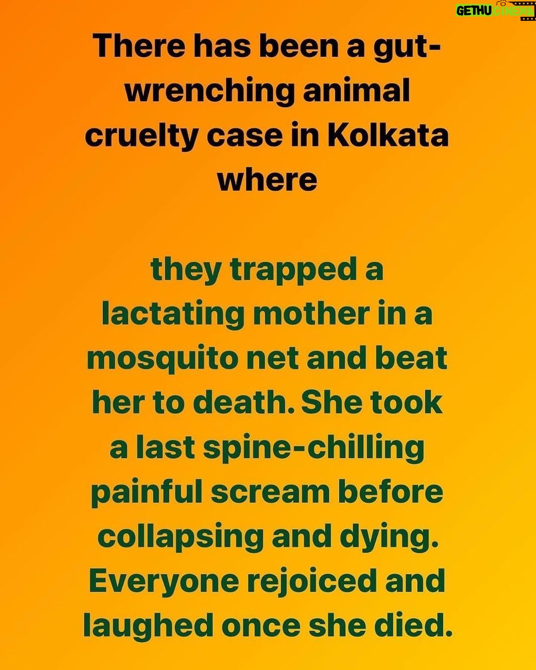 Swastika Mukherjee Instagram - @pfa.official @manekagandhibjp please please help punish the culprits. Location: Dhulagarh Names of offenders: Ujjwal Naskar, (son of Madhusudan Naskar) and his team Police station: Sankrail Thana Plz send an email to - support-awbi@gov.in And put them in cc CC- dm-how-wb@nic.in dibhowrahrural@gmail.com croomhcp@gmail.com dysphqhr@gmail.com dcrbrural@gmail.com mahuamoitraoffice@gmail.com cm-wb@nic.in wbgovt@wb.gov.in Posted @withregram • @sanjanabarua IT IS IMPORTANT TO MAIL. Please find the mail template, video proof and FIR in bio. In case of doubt, inbox me. The more emails, the stronger the pressure. Which means justice. They laughed and rejoiced once she died! And there is no update on her newborn pups 🚨 No mother should have to go through this for defending her children! #animalcruelty #animalkilling #murder #animaltorture #animalmurder #lactatingmom #motherdog #newmom #puppiesofinstagram #dogsofinstagram #dogsofindia #indies_gram #indiedogs #mothers #howrah #westbengal