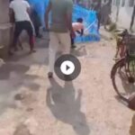 Swastika Mukherjee Instagram - @pfa.official @manekagandhibjp please please help punish the culprits. Location: Dhulagarh Names of offenders: Ujjwal Naskar, (son of Madhusudan Naskar) and his team Police station: Sankrail Thana Plz send an email to - support-awbi@gov.in And put them in cc CC- dm-how-wb@nic.in dibhowrahrural@gmail.com croomhcp@gmail.com dysphqhr@gmail.com dcrbrural@gmail.com mahuamoitraoffice@gmail.com cm-wb@nic.in wbgovt@wb.gov.in Posted @withregram • @sanjanabarua IT IS IMPORTANT TO MAIL. Please find the mail template, video proof and FIR in bio. In case of doubt, inbox me. The more emails, the stronger the pressure. Which means justice. They laughed and rejoiced once she died! And there is no update on her newborn pups 🚨 No mother should have to go through this for defending her children! #animalcruelty #animalkilling #murder #animaltorture #animalmurder #lactatingmom #motherdog #newmom #puppiesofinstagram #dogsofinstagram #dogsofindia #indies_gram #indiedogs #mothers #howrah #westbengal