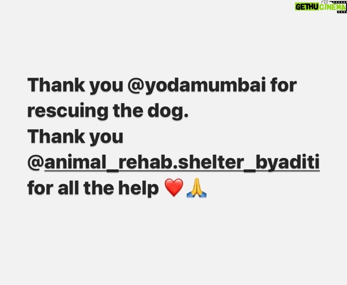 Swastika Mukherjee Instagram - Thank you everyone for all the help. Especially the professors and guards of Fisheries University Versova. Thank you @shahanadg for reaching out ❤️