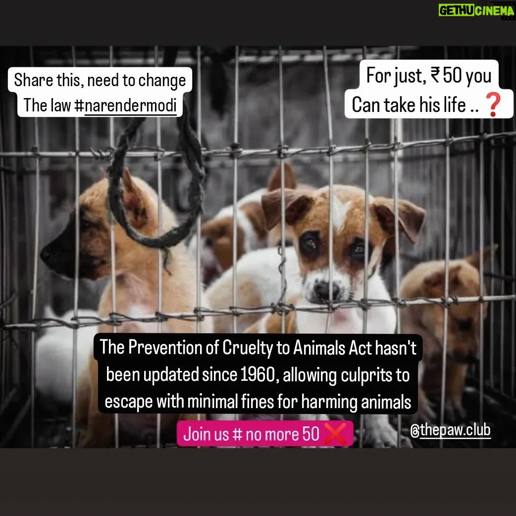 Swastika Mukherjee Instagram - Share this , raise your voice 🙏 #NoMore50 . . . . . . . . . . . . . . . . . . . . . . . . . . . . . . #animalcruelty #explorepage #stopanimalabuse malabuse #viral #instagood #featured #animallover #awareness #trend