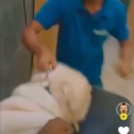 Swastika Mukherjee Instagram - vetic.in 🤬 Animal Abuse Reported at Vetic Pet Clinic, near R Mall, Thane vetic.in We need your help to address a serious issue at the Vetic Pet Clinic vetic.in, near R Mall in Thane. It's been reported that a staff member there has been seen mistreating a helpless dog. This is not okay. As animal lovers, it's our job to keep our furry friends safe and happy. We can't let this kind of cruelty go unchecked. If you were thinking about taking your pets to Vetic Pet Clinic, please reconsider. Our pets' well-being comes first, and we can't support places that allow this kind of behavior. . vetic.in This pet Clinic in Thane should be closed. Culprit name is Mayur jadhav. . . . . . . . . . . . . . #rescuedog #animals #stopanimalabuse #crueltyfree #instagram #featured