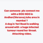 Swastika Mukherjee Instagram - PLS HELP ME WITH A CONTACT 🙏 Mumbai, Maharashtra