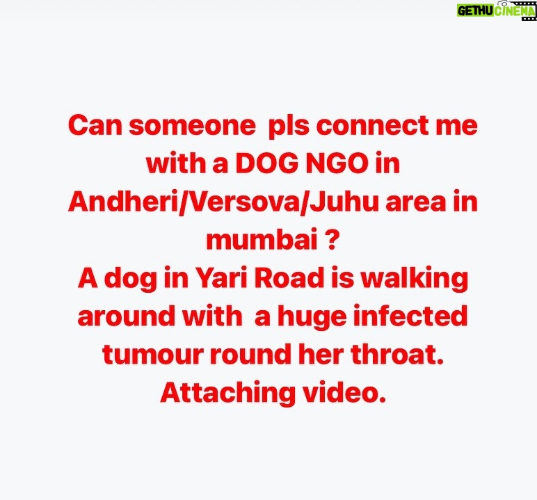 Swastika Mukherjee Instagram - PLS HELP ME WITH A CONTACT 🙏 Mumbai, Maharashtra