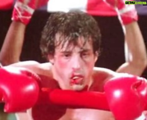 Sylvester Stallone Instagram - The moral of Rocky: you don’t have to win to triumph!