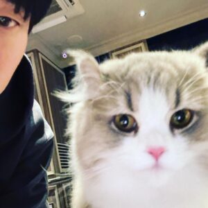 Tablo Instagram - back to work