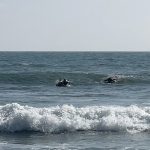 Taeil Instagram – First surfing Sunset Beach, Malibu, California