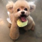 Taemin Instagram - 2007.12.24 - 2023.10.10 사랑해 이브야