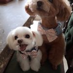 Taemin Instagram - 2007.12.24 - 2023.10.10 사랑해 이브야