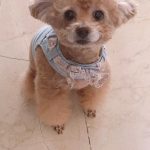 Taemin Instagram - 2007.12.24 - 2023.10.10 사랑해 이브야