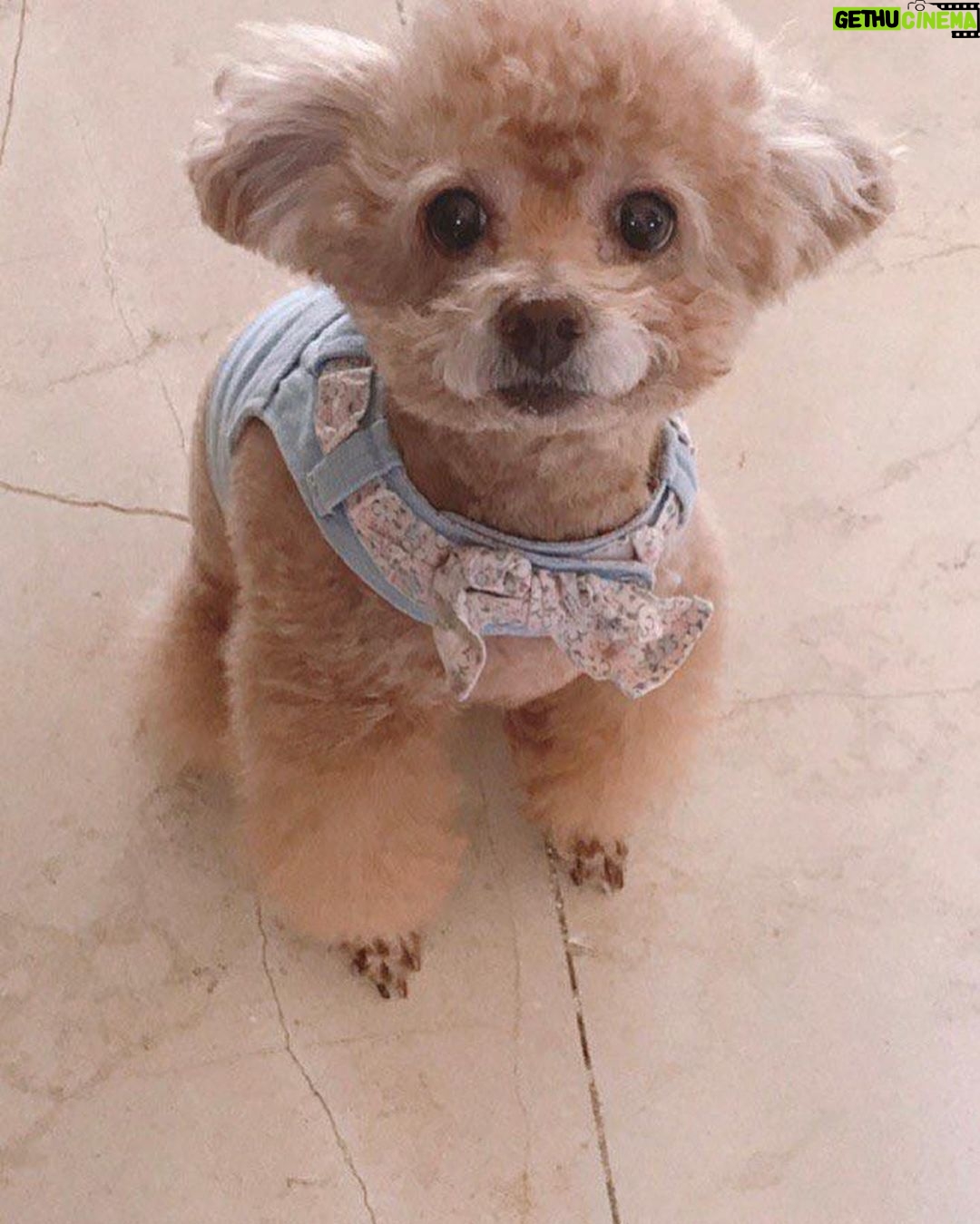 Taemin Instagram - 2007.12.24 - 2023.10.10 사랑해 이브야