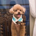 Taemin Instagram - 2007.12.24 - 2023.10.10 사랑해 이브야