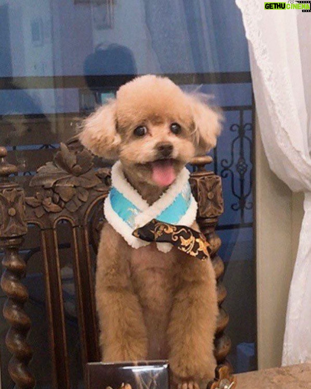 Taemin Instagram - 2007.12.24 - 2023.10.10 사랑해 이브야