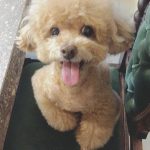 Taemin Instagram - 2007.12.24 - 2023.10.10 사랑해 이브야