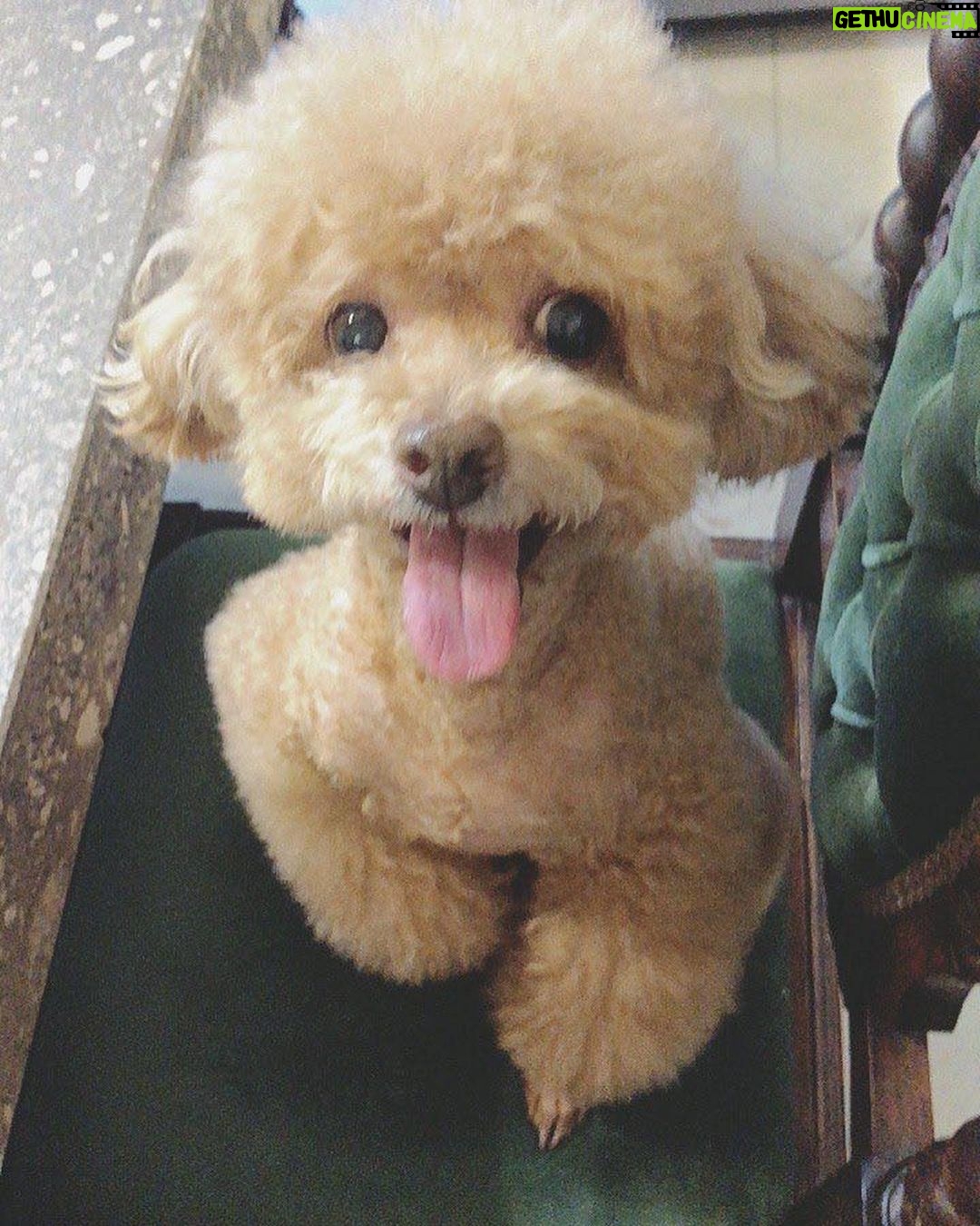 Taemin Instagram - 2007.12.24 - 2023.10.10 사랑해 이브야