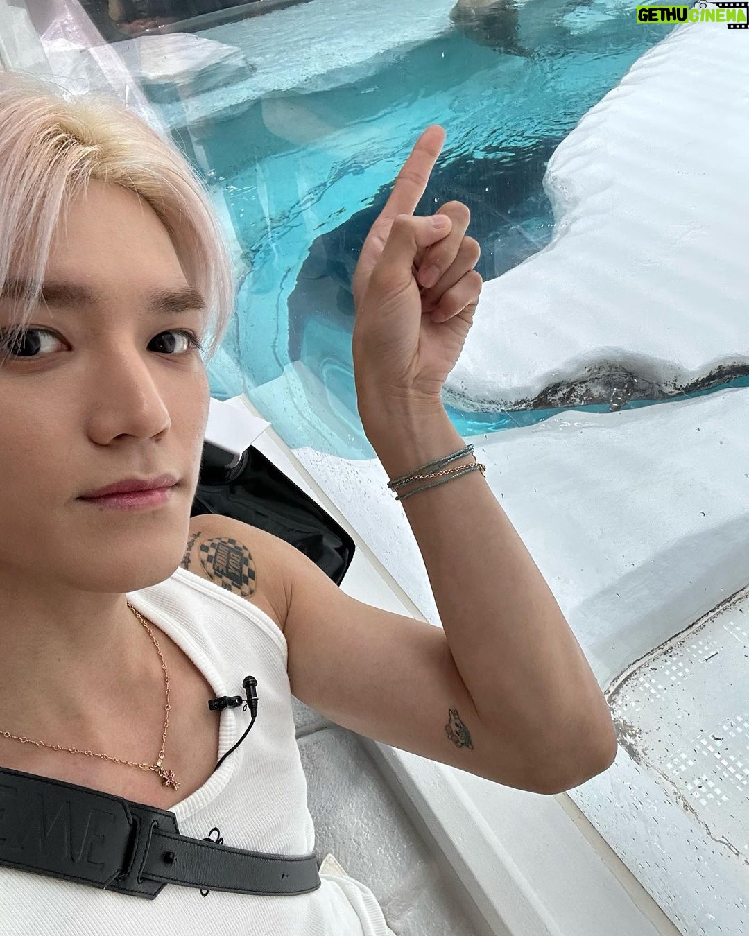 Taeyong Instagram - 귀여워 … 그냥 피드 해놓고 싶어서 .. 올려요 🦭🦭🦭