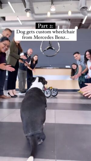 Tai Lopez Instagram - Should we get him a Lamborghini backup? #payitforward