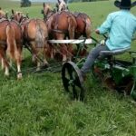 Tai Lopez Instagram – We’ve forgotten the old ways. How much horsepower is this?