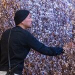 Takashi Murakami Instagram - On February 2, from 8 to 10 pm, a dinner party was held for my “Takashi Murakami: Mononoke Kyoto” exhibition, where about 5,000 cherry blossoms were in full bloom (80% of the flowers in bloom!) at once. Floral artist Makoto Azuma (AMKK) is the one who pulled off this tremendous feat. Makoto Azuma is a floral artist who has been creating flower arrangements in outer space, executing a large floral installation deep under the sea, arranging flowers in a frigid world of absolute zero, and growing plants in a kind of perpetually circulating nature device invented by humans long ago. He is an artist with a concept of symbiosis between humans and plants, who works with flower as his theme. Twenty years ago, when I received flowers from Mr. Koichi Inaba, the president of the management company of the folk duo, Yuzu, I was very much impressed; they were arranged by Mr. Azuma. Later, I saw Mr. Azuma in a TV documentary, sobbing and stomping in frustration. Intrigued by this very unusual person, I went to visit him at his studio in an old house in Azabu. I really wished to organize a dinner with cherry blossoms as the theme, so I approached Mr. Azuma around mid-December last year. He kindly and readily agreed and immediately got to work: He cut 5,000 Cherry branches, put them in a greenhouse, closely managed the temperature, and on February 2, the very day of the dinner, he made the cherry blossoms bloom at the optimal 80%. I guess he is what you would rightfully call a genius. He really realized an installation of cherry blossoms in full bloom, filling the venue with the smell of beautifully cut flowers, which left us gaping in awe. My sincerest gratitude, Mr. Azuma. @amkk_project @jardins.des.fleurs @azumamakoto @takashimurakami_mononoke_kyoto by #azumamakoto #amkk #amkkproject #shiinokishunsuke #naritaeri #cherryblossom #kyotocitykyoceramuseumofart #kyoto #art #TakashiMurakami #mononokekyoto