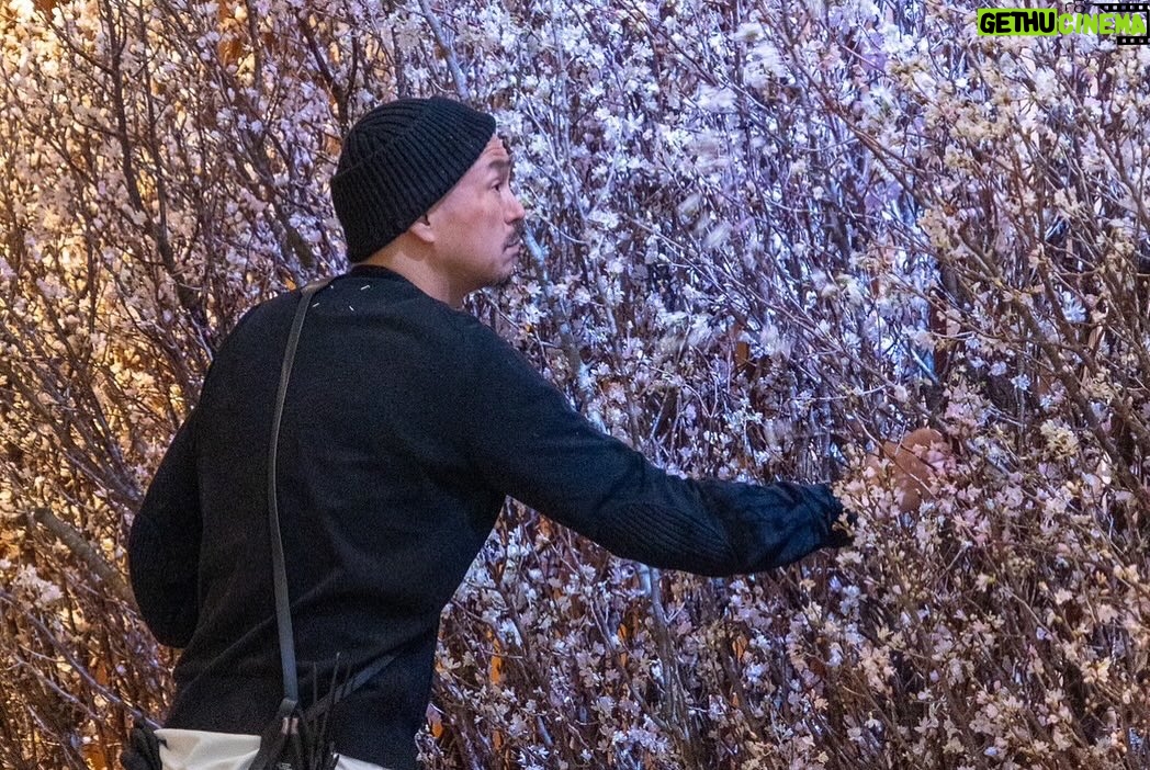 Takashi Murakami Instagram - On February 2, from 8 to 10 pm, a dinner party was held for my “Takashi Murakami: Mononoke Kyoto” exhibition, where about 5,000 cherry blossoms were in full bloom (80% of the flowers in bloom!) at once. Floral artist Makoto Azuma (AMKK) is the one who pulled off this tremendous feat. Makoto Azuma is a floral artist who has been creating flower arrangements in outer space, executing a large floral installation deep under the sea, arranging flowers in a frigid world of absolute zero, and growing plants in a kind of perpetually circulating nature device invented by humans long ago. He is an artist with a concept of symbiosis between humans and plants, who works with flower as his theme. Twenty years ago, when I received flowers from Mr. Koichi Inaba, the president of the management company of the folk duo, Yuzu, I was very much impressed; they were arranged by Mr. Azuma. Later, I saw Mr. Azuma in a TV documentary, sobbing and stomping in frustration. Intrigued by this very unusual person, I went to visit him at his studio in an old house in Azabu. I really wished to organize a dinner with cherry blossoms as the theme, so I approached Mr. Azuma around mid-December last year. He kindly and readily agreed and immediately got to work: He cut 5,000 Cherry branches, put them in a greenhouse, closely managed the temperature, and on February 2, the very day of the dinner, he made the cherry blossoms bloom at the optimal 80%. I guess he is what you would rightfully call a genius. He really realized an installation of cherry blossoms in full bloom, filling the venue with the smell of beautifully cut flowers, which left us gaping in awe. My sincerest gratitude, Mr. Azuma. @amkk_project @jardins.des.fleurs @azumamakoto @takashimurakami_mononoke_kyoto by #azumamakoto #amkk #amkkproject #shiinokishunsuke #naritaeri #cherryblossom #kyotocitykyoceramuseumofart #kyoto #art #TakashiMurakami #mononokekyoto