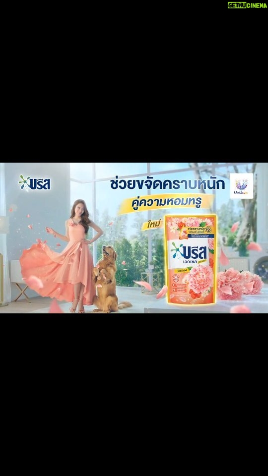 Taksaorn Paksukcharern Instagram - ต้อนรับความหอมหรูที่น่าเลิฟจากบรีส🌷✨ ใหม่! บรีส เอกเซล ซิกเนเจอร์ พีโอนี เลิฟ ✅ขจัดคราบหนัก แม้ผ่านมา 72 ชม. ✅มอบความหอมหรูหรายาวนาน 4 สัปดาห์ ด้วยน้ำหอมหรูกลิ่นใหม่ จากดอกพีโอนี ✅ผสานเอสเซนเชียลออยล์ธรรมชาติ 🛍️วางจำหน่ายแล้ววันนี้ ที่ห้างสรรพสินค้าและร้านค้าชั้นนำทั่วประเทศ ลองแล้วจะเลิฟแบบแอฟ อย่าลืมลองใช้กันนะคะ💖 #บรีสพีโอนีเลิฟ #หอมหรูจนต้องรัก