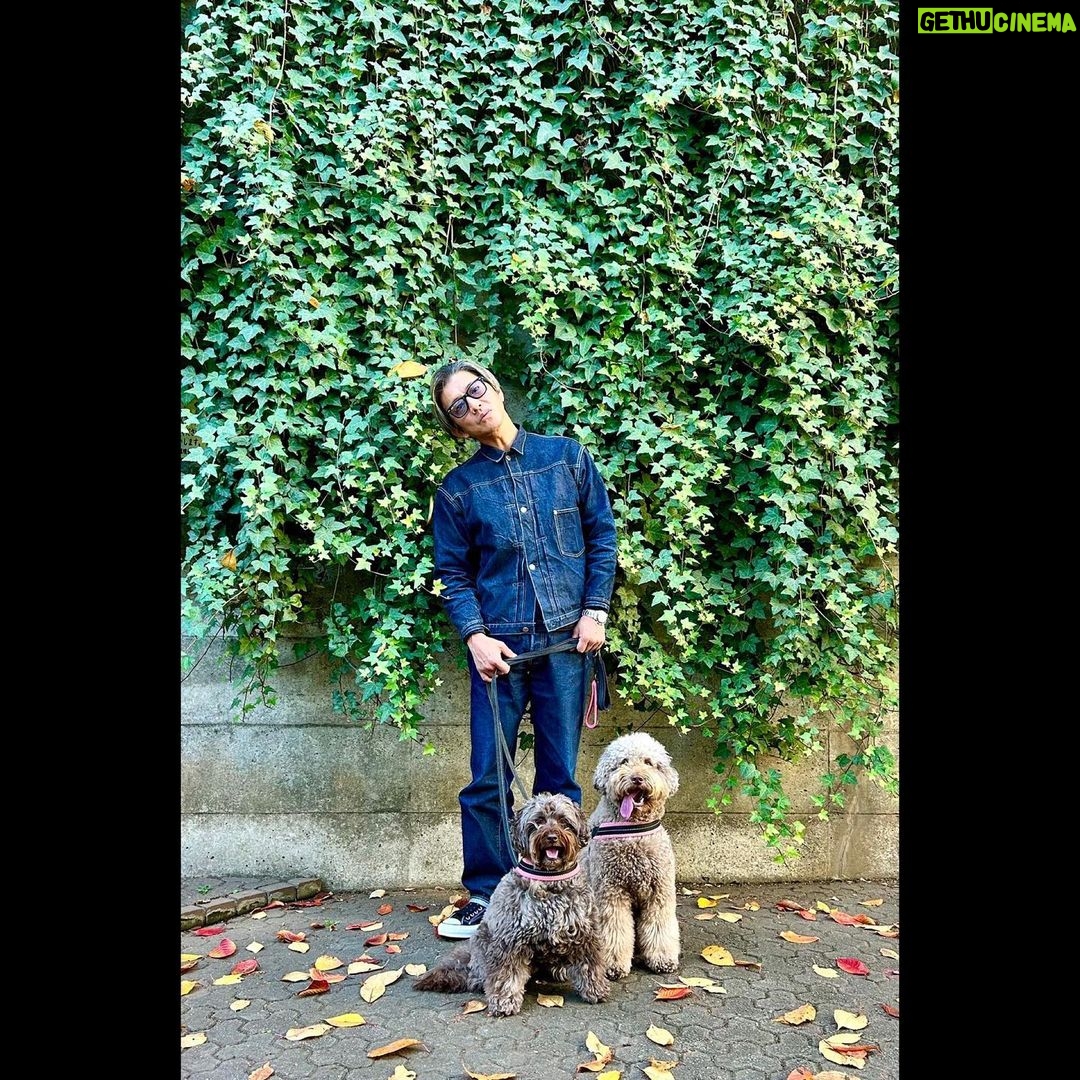 Takuya Kimura - 129.6K Likes -
「12月10日だというのに、日陰を探してしまう程の暖かさ!この格好でも、9500歩歩くと汗かいてました。」
拓哉
#木村拓哉#TakuyaKimura