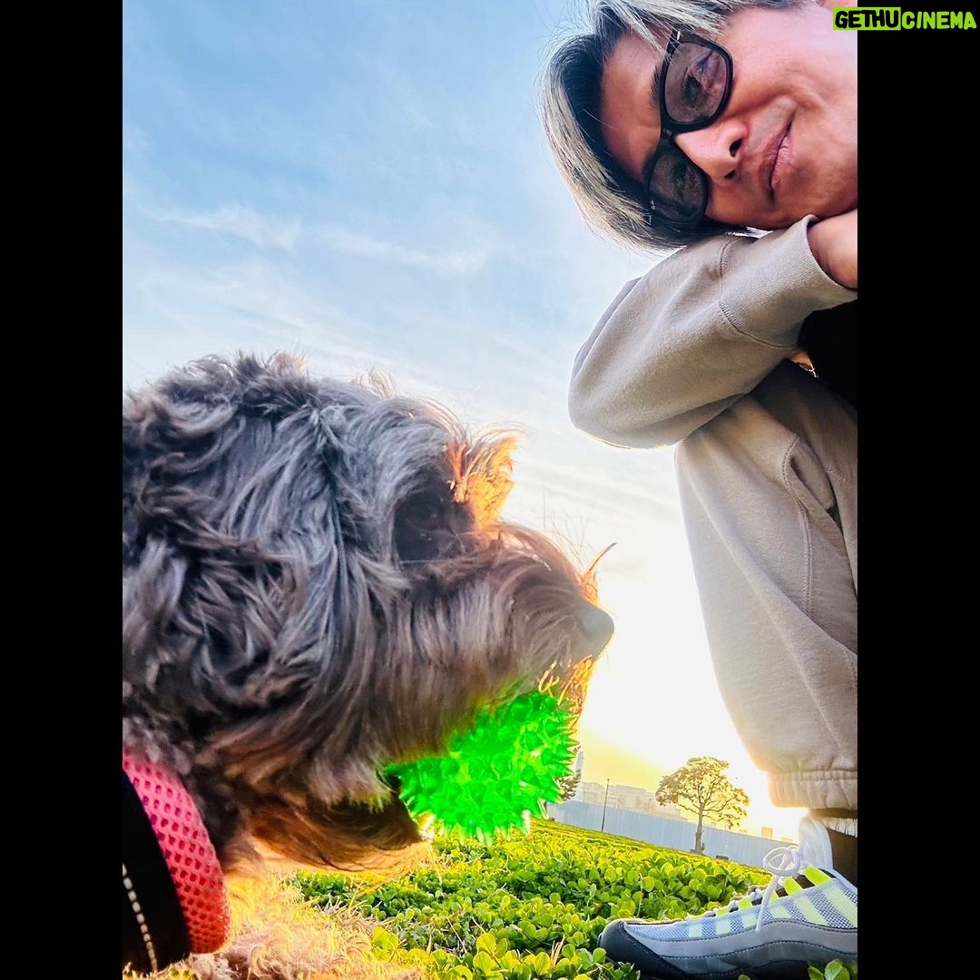 Takuya Kimura Instagram - 「帰宅後にはお待ちかねのさんさんへ! 夕方の空、綺麗だったね…。」 拓哉 #木村拓哉#TakuyaKimura