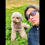 Takuya Kimura Instagram – ⁡
⁡
⁡
「一気に寒くなりましたねぇ〜！犬達は気持ち良さそうに歩いてましたが、自分の手は悴んでました…。」
⁡
拓哉
#木村拓哉#TakuyaKimura