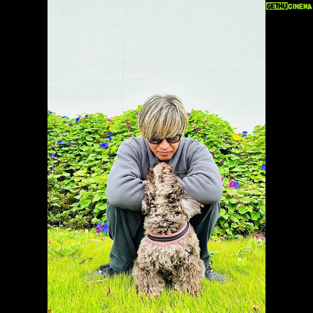 Takuya Kimura - 175.2K Likes -
「今日はガクンと気温が下がって、急に着る服に厚みが…。
皆さん体調を崩さないように気を付けてくださいね。」
PEACE‼︎
STAYSAFE!
拓哉
#木村拓哉#TakuyaKimura
