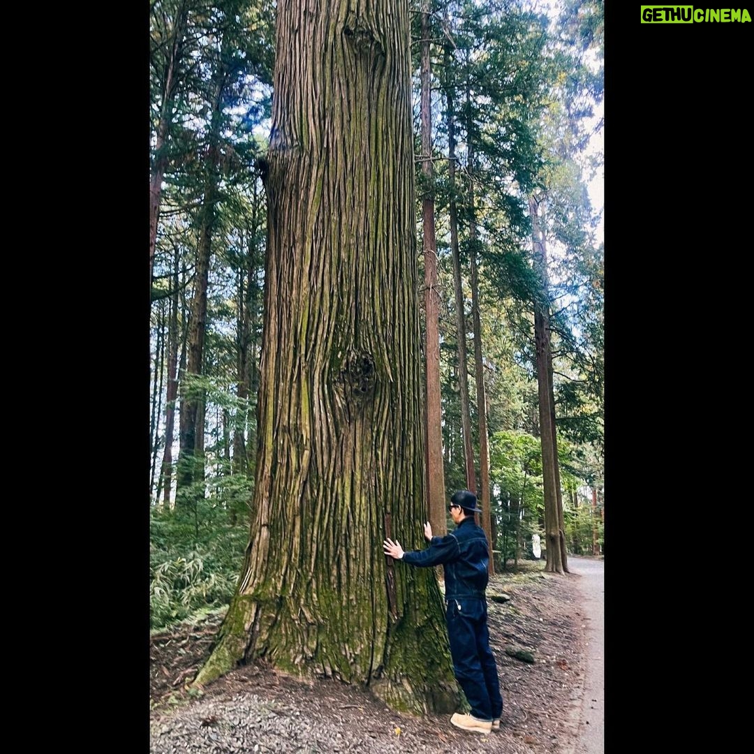 Takuya Kimura - 140K Likes -
「どっしり聳え立つ木にタッチ❕」
PEACE‼︎
STAYSAFE!
拓哉
#木村拓哉#TakuyaKimura