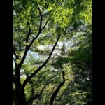 Takuya Kimura Instagram - ⁡ ⁡ ⁡ 「とっても過ごしやすい気温でしたね…。 あぁ〜、気持ち良かったぁ〜❕」 ⁡ PEACE‼︎ ⁡ STAYSAFE! ⁡ 拓哉 #木村拓哉#TakuyaKimura