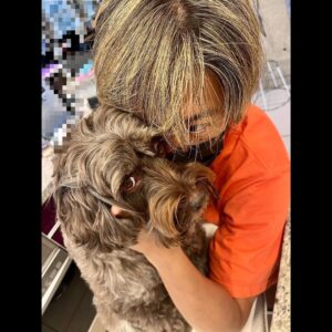 Takuya Kimura Instagram - ⁡
⁡
⁡
「内緒話…。
⁡
"何見てんのぉ〜⁇"って表情のアムです。
⁡
今日、何処のコースかをヒソヒソ話で決めてる最中です。」
⁡
PEACE‼︎
⁡
STAYSAFE！
⁡
拓哉
#木村拓哉#TakuyaKimura