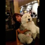 Takuya Kimura Instagram – ⁡
⁡
⁡
「何年も前のヒカルとの写真。この他にも本当に色々な時間や想い出が溢れる写真を今日は眺めていました…。
だいぶお爺ちゃんになりましたが、頑張ってくれています❕
犬の中で流れている時間は、人の7倍だと…。
どうしてそんな形になったんだろうって、つくづく思います。
きっと、自分がある程度歳を重ねたから思う事なのかもしれませんね…。」
⁡
PEACE‼︎
⁡
STAYSAFE!
⁡
拓哉
#木村拓哉#TakuyaKimura