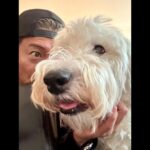 Takuya Kimura Instagram – ⁡
⁡
⁡
「ひい爺ぃ〜のお薬を病院に取りに行ったら、沢山のワンちゃんがご主人さんと一緒に来てました。
みんな、本当に愛されてるなぁ…って、気持ちがあったかくなりました❕
ひい爺ぃ〜は通院が出来ないけど、しっかりサポートするからね。
踏ん張ってくれて、ありがとう❕」
⁡
PEACE!!
⁡
STAYSAFE!
⁡
拓哉
#木村拓哉#TakuyaKimura