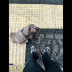 Takuya Kimura Instagram - ⁡ ⁡ ⁡ 「雨が上がってるタイミングで出動❕ 気温が下がっても、湿度が高いとかなり暑くなりますね…。 ロンTは、未だ早かったです。」 ⁡ PEACE‼︎ ⁡ STAYSAFE! ⁡ 拓哉 #木村拓哉#TakuyaKimura