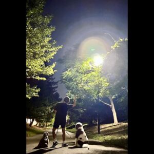 Takuya Kimura Instagram - ⁡
⁡
⁡
「今日のナイトパトロールは7000歩❕
帰り道、浴衣姿の女の子をアムが凄くチェックしてました…。」
⁡
PEACE‼︎
⁡
STAYSAFE！
⁡
拓哉
#木村拓哉#TakuyaKimura