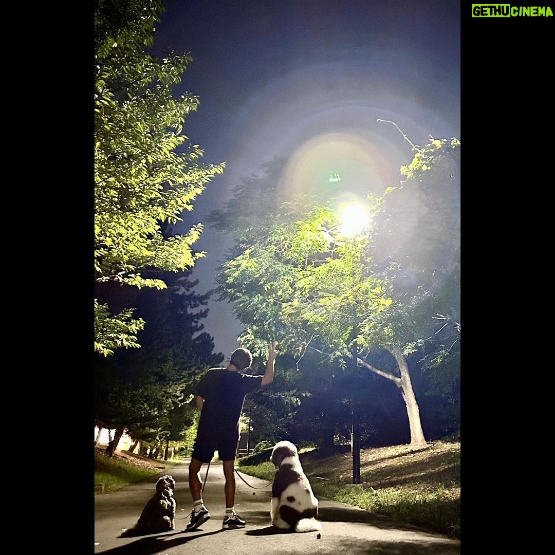 Takuya Kimura - 137.6K Likes -
「今日のナイトパトロールは7000歩❕
帰り道、浴衣姿の女の子をアムが凄くチェックしてました…。」
PEACE‼︎
STAYSAFE!
拓哉
#木村拓哉#TakuyaKimura